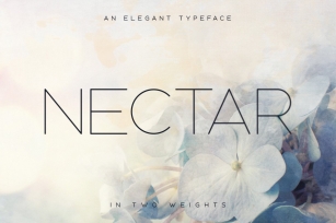 Nectar Typeface Font Download