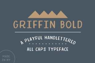 Griffin Bold Handlettered Typeface Font Download