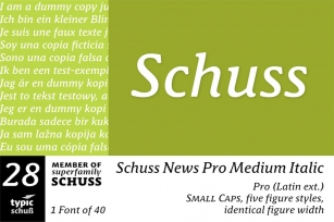 SchussNewsProMedIta No. 28 (1) Font Download