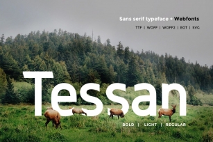 Tessan Sans Font Download