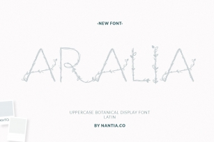 Aralia Botanical Uppercase Font Download