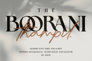 The Boorani Thampil Duo Font Download