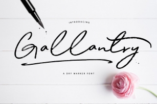 Gallantry Dry Marker Font Download
