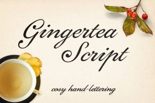 Gingertea Script Font Download
