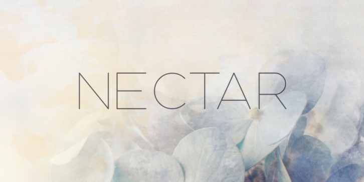 Nectar Font Download