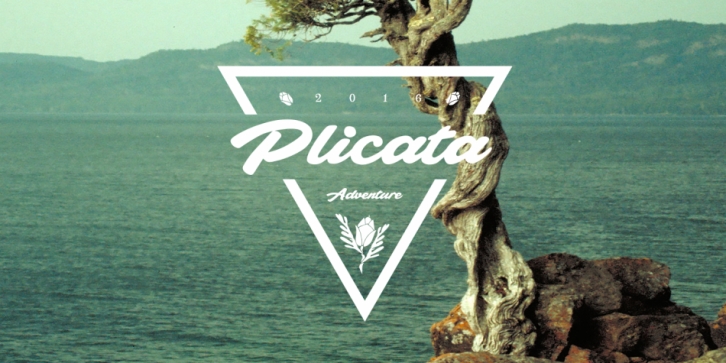 Plicata Font Download