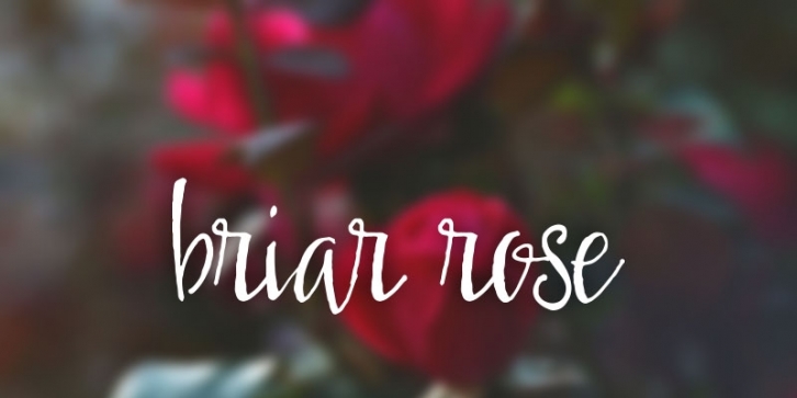 Briar Rose Font Download