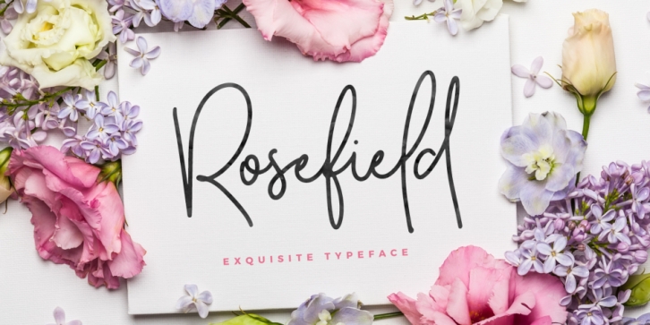Rosefield Font Download