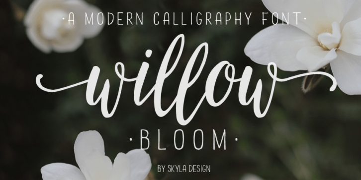Willow Bloom Font Download