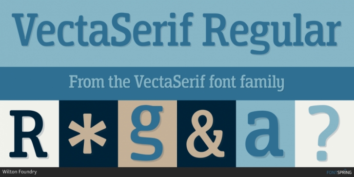 VectaSerif Font Download