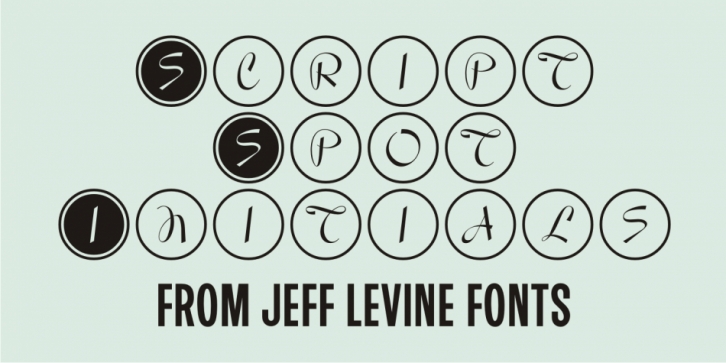 Script Spot Initials JNL Font Download