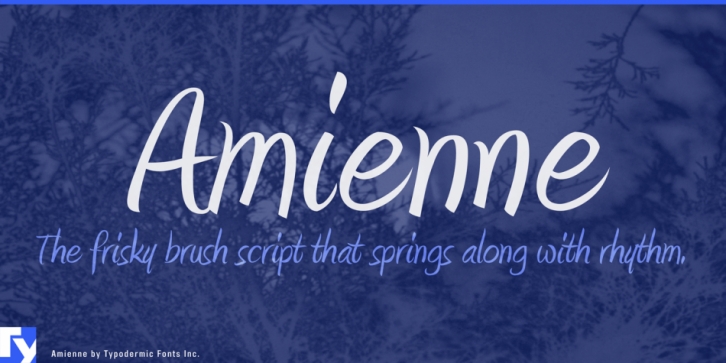 Amienne Font Download