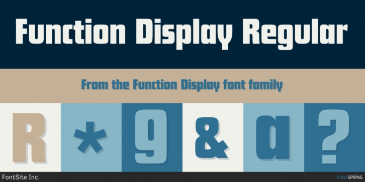 Function Display Font Download