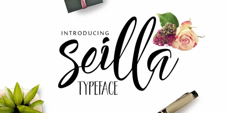 Seilla Script Font Download