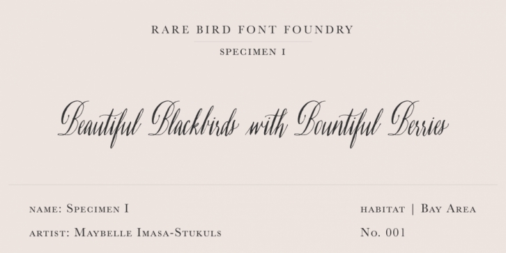 Rare Bird Specimen I Font Download