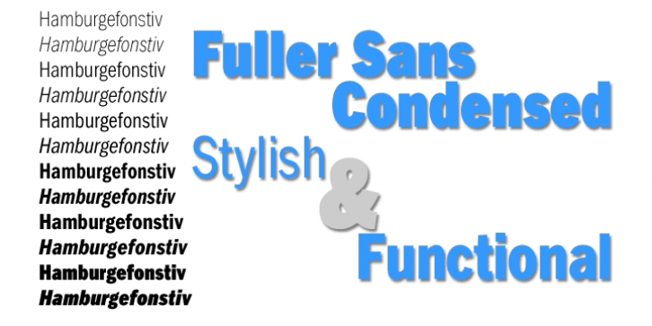 FullerSansDTCond Font Download