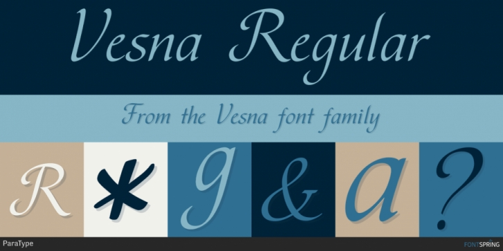 Vesna Font Download