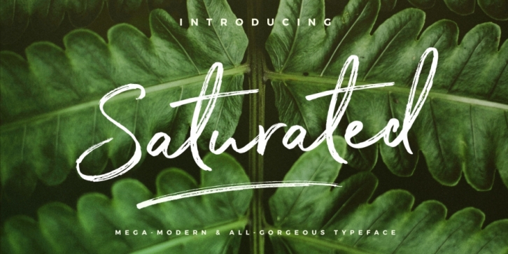 Saturated Font Download