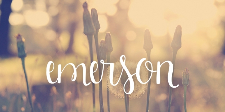 Emerson Font Download