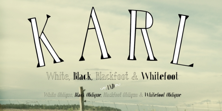 Karl Font Download