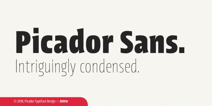 Picador Sans Font Download