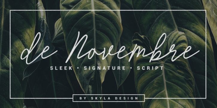 De Novembre Font Download