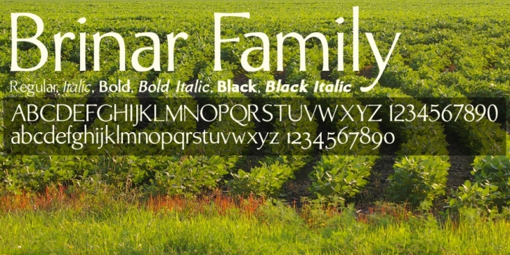 Brinar Font Download