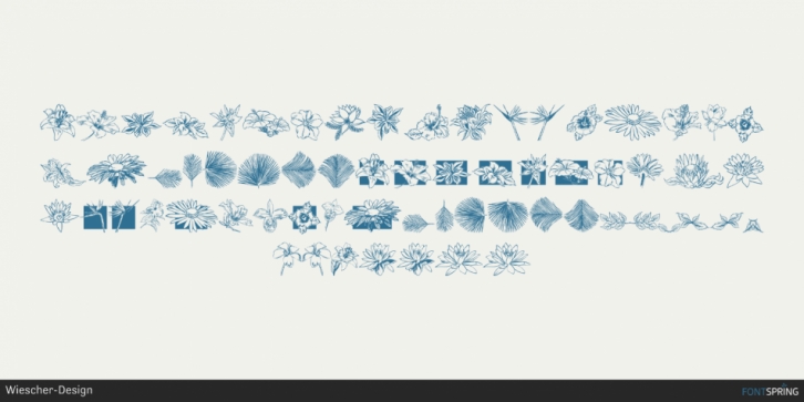 Fleuraloha Font Download