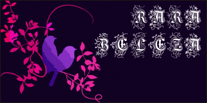 RaraBeleza Font Download