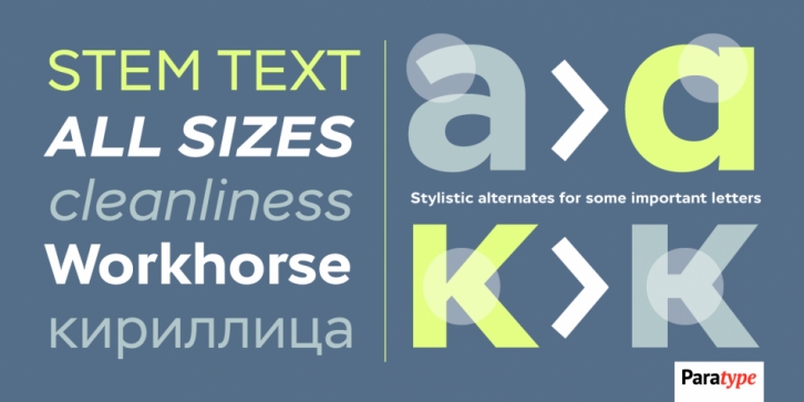 Stem Text Font Download