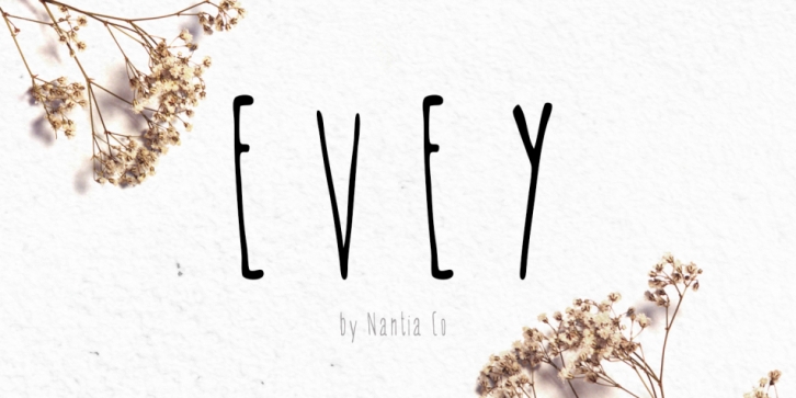 Evey Font Download