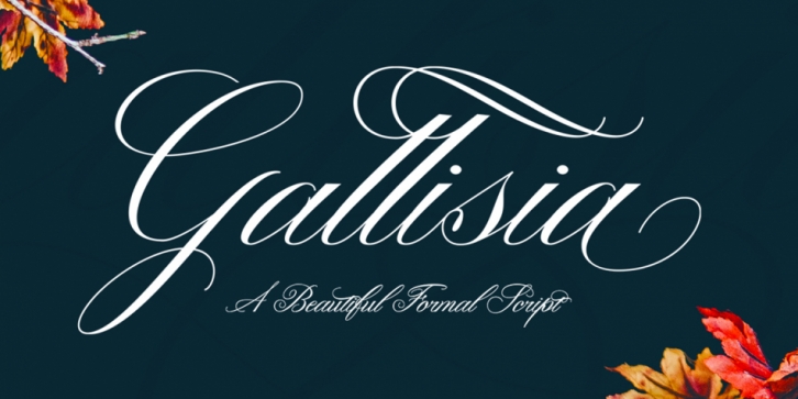 Gallisia Script Font Download