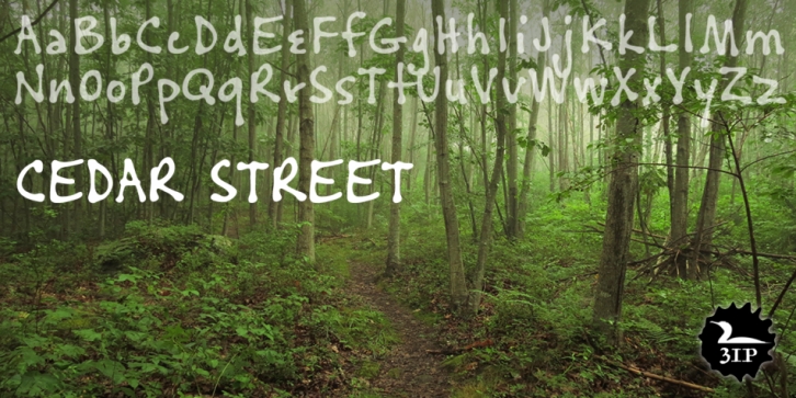 Cedar Street Font Download