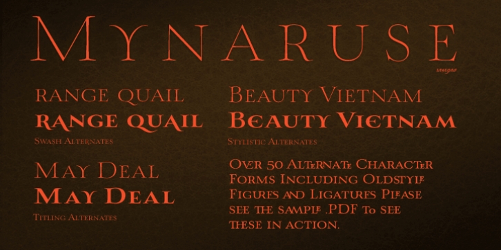 Mynaruse Font Download