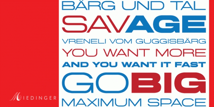 Miedinger Font Download