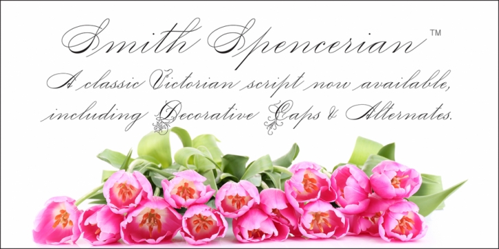 Smith Spencerian Font Download