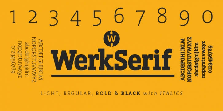 WerkSerif Font Download