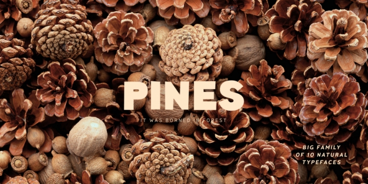 Pines Font Download