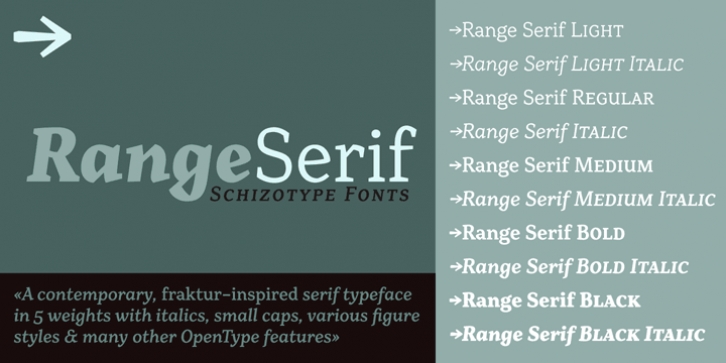 Range Serif Font Download