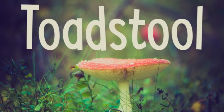 Toadstool Font Download