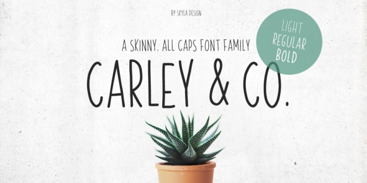 Carley Co Font Download