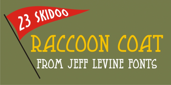 Raccoon Coat JNL Font Download
