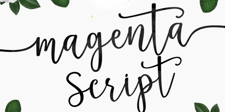 Magenta Script Font Download