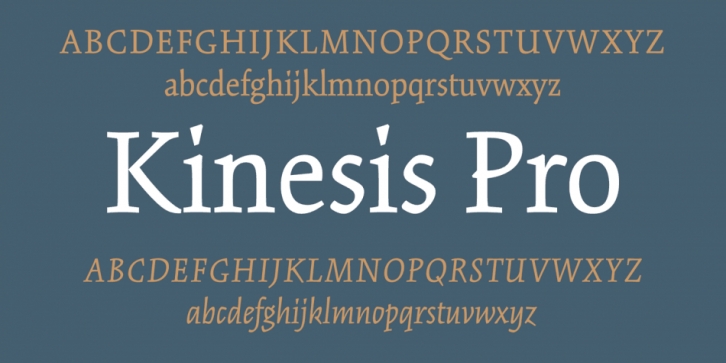 Kinesis Pro Font Download