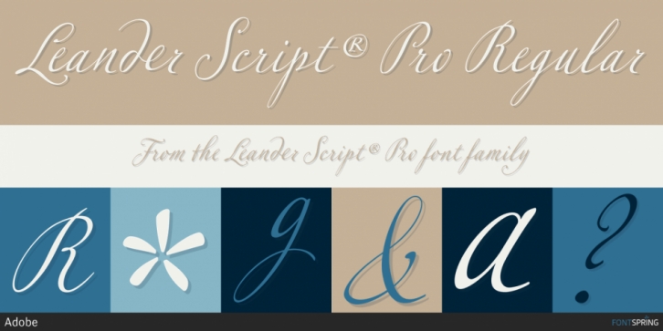 Leander Script Pro Font Download