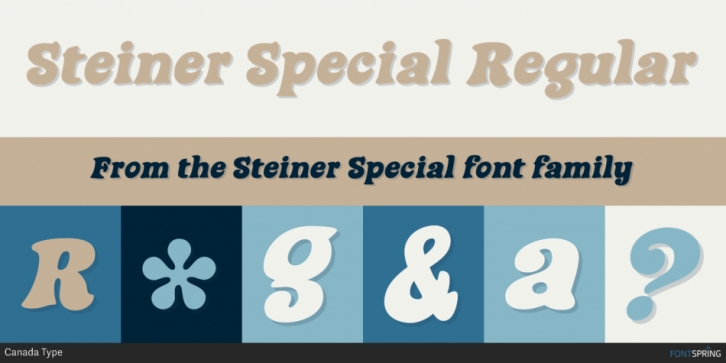 Steiner Special Font Download