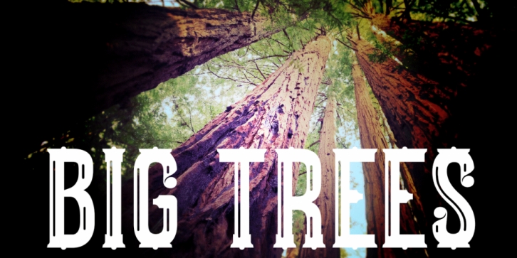 Big Trees Font Download