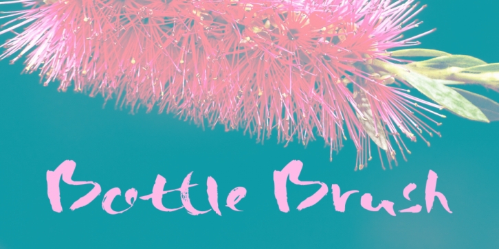 Bottle Brush Font Download