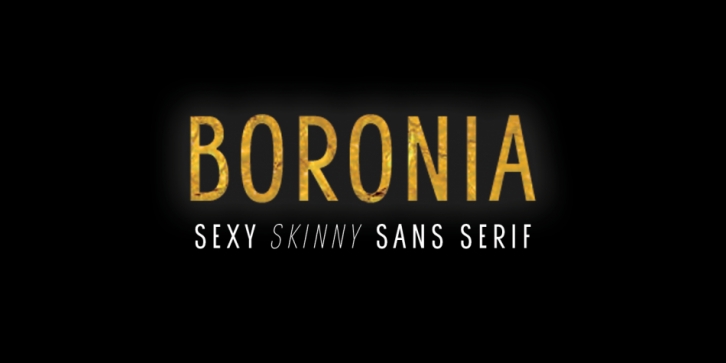 Boronia Font Download