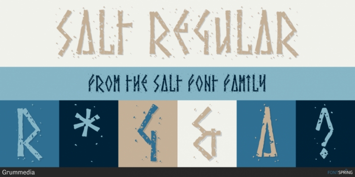 Salt Font Download